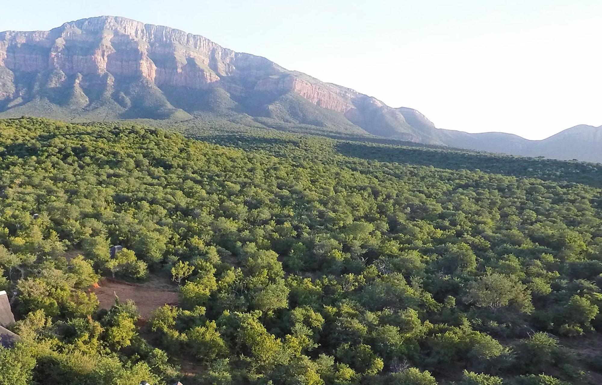 Shikwari Nature Reserve هويدزبروت المظهر الخارجي الصورة